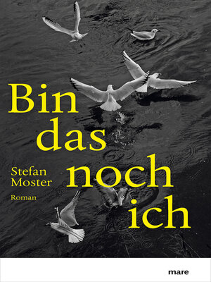 cover image of Bin das noch ich